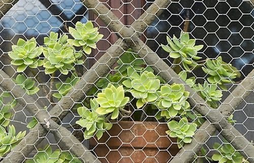 grillage hexagonal promasteel